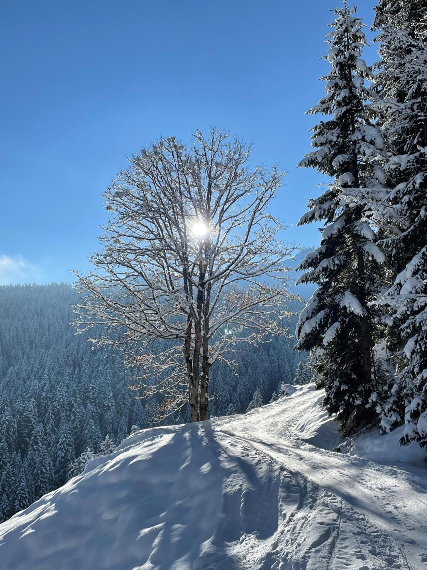 Appartement Krepper Erpfendorf Bagian luar foto